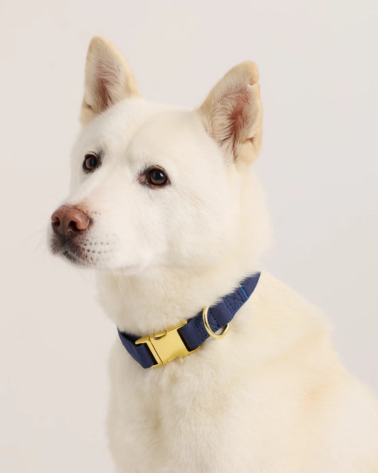 100% Cotton-Wrapped Nylon Dog Collar - XS / Navy