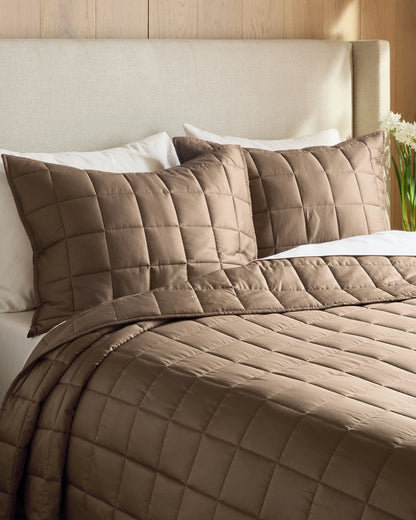 Bamboo Box Quilted Sham Set - Standard / Sage