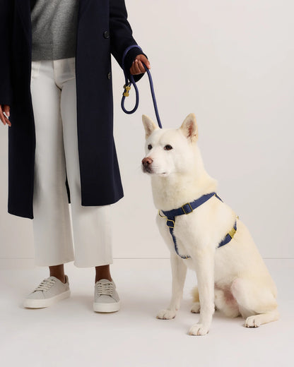 100% Cotton-Wrapped Nylon Dog Harness - XS / Navy