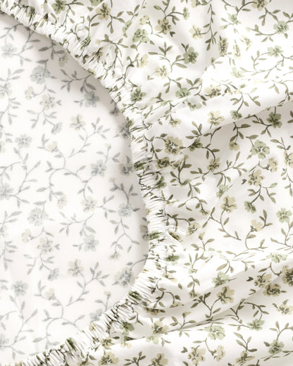 Organic Crisp Percale Fitted Sheet Set - Twin / Espresso