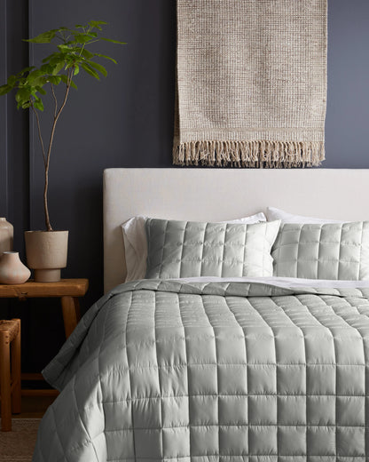 Bamboo Box Quilted Sham Set - Standard / Sage