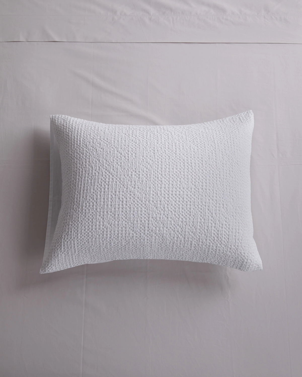 Organic Luxe Honeycomb Sham Set - Standard / Mineral