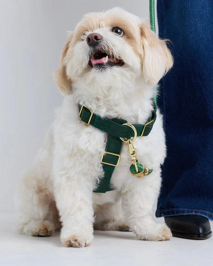100% Cotton-Wrapped Nylon Dog Harness - XS / Navy