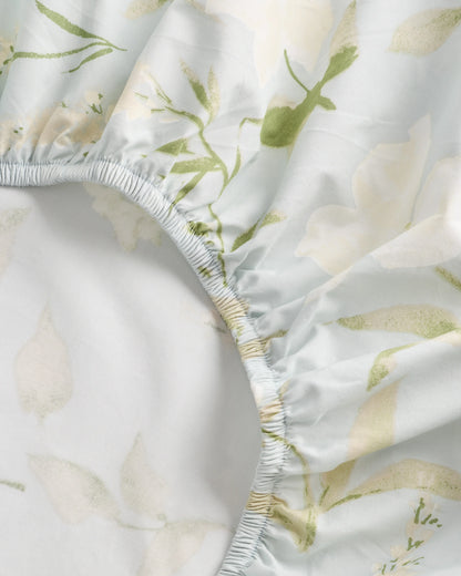 Organic Crisp Percale Fitted Sheet Set - Twin / Espresso