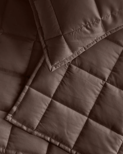 Bamboo Box Quilted Sham Set - Standard / Sage