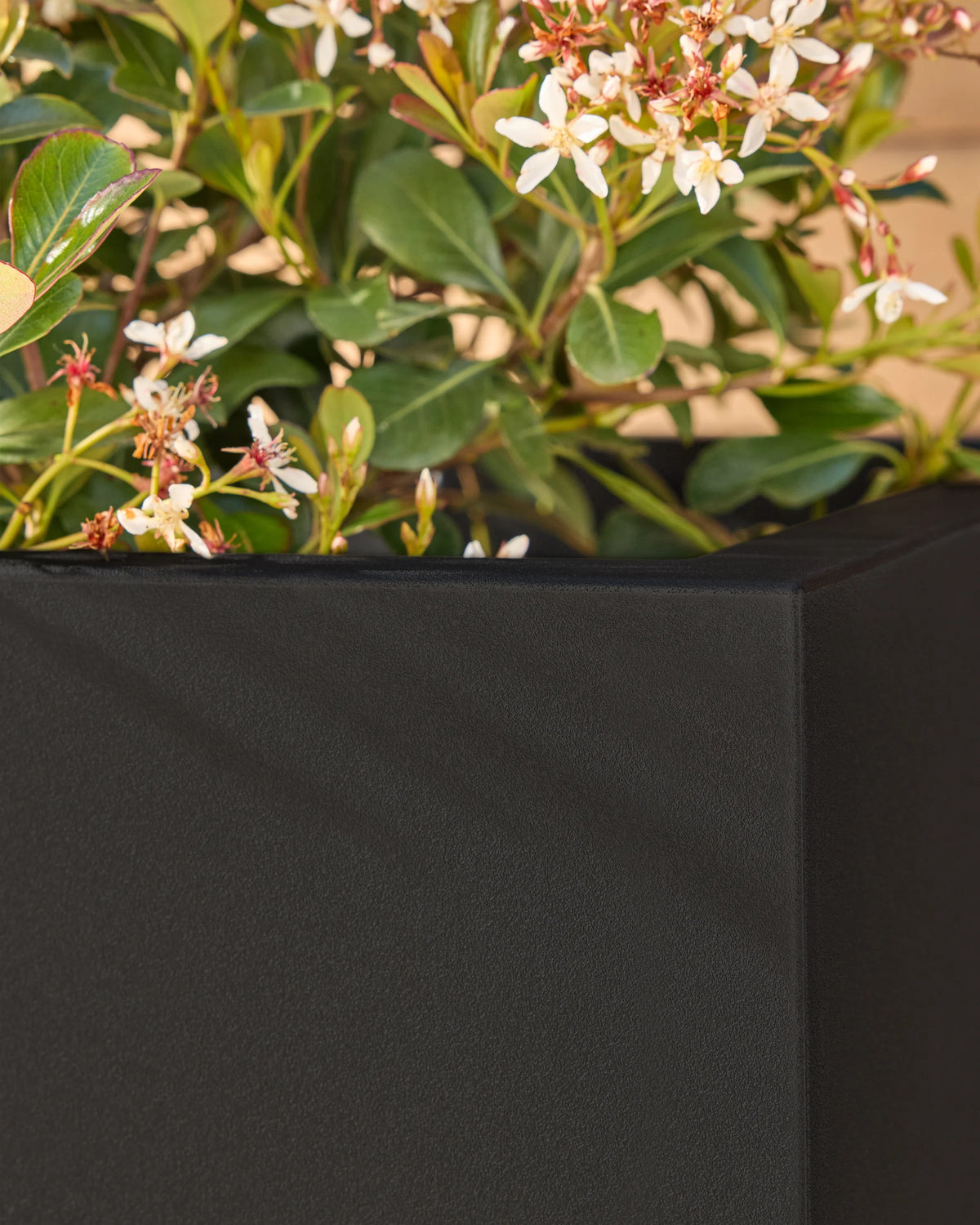 Block Series All Weather Rectangular Planter by Veradek - One Size / Black