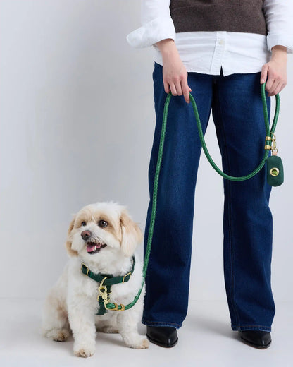 100% Cotton-Wrapped Nylon Dog Harness Walk Kit