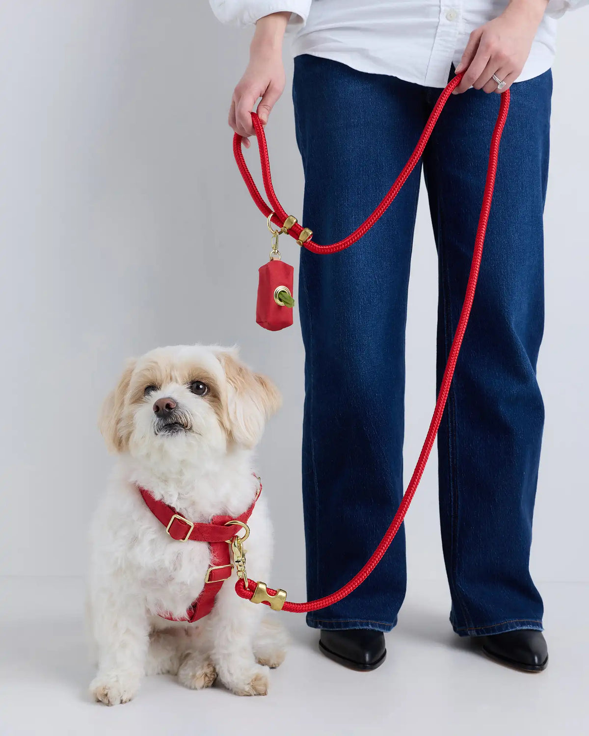 100% Cotton-Wrapped Nylon Dog Harness Walk Kit