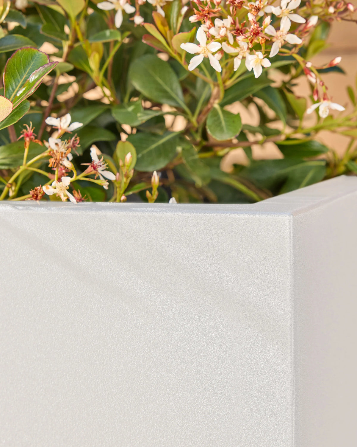 Block Series All Weather Square Planter by Veradek - One Size / Black