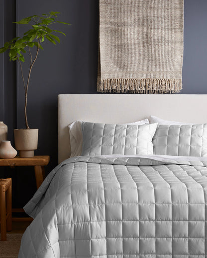 Bamboo Box Quilted Sham Set - Standard / Sage