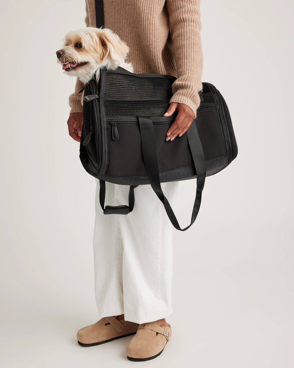 Pet Travel Carrier - One Size / Black