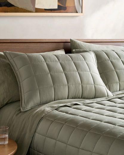 Bamboo Box Quilted Sham Set - Standard / Sage