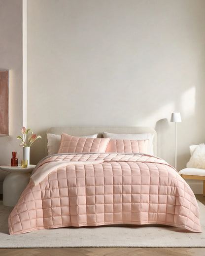 Bamboo Box Quilted Sham Set - Standard / Sage