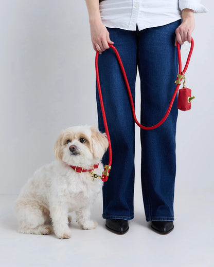 100% Cotton-Wrapped Nylon Dog Collar - XS / Navy